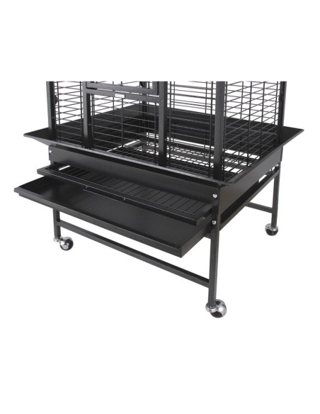 Jaula para Loros Haiti