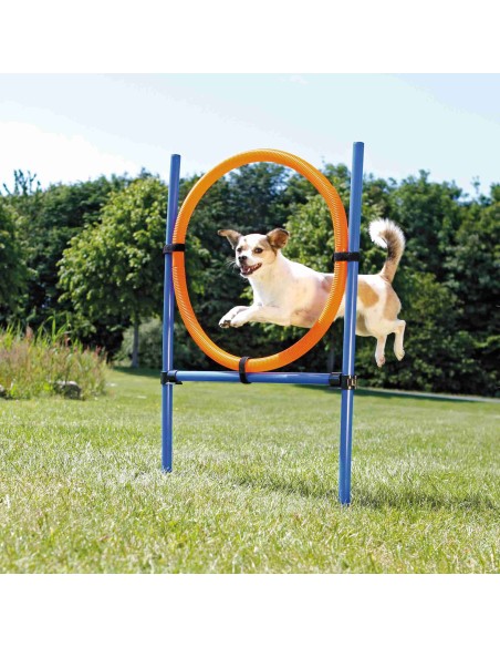 Aro para Agility azul/naranja