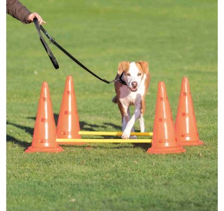 Set de Obstáculos Agility para perros