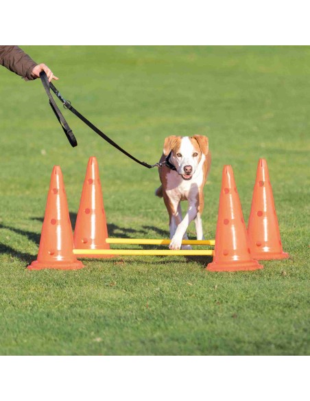 Set de Obstáculos Agility para perros