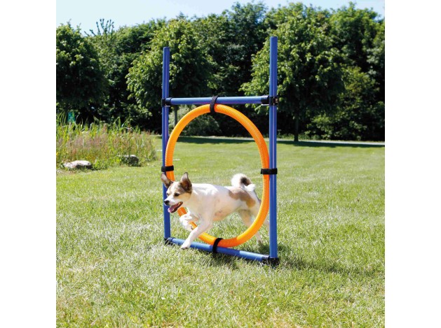 Aro para Agility azul/naranja