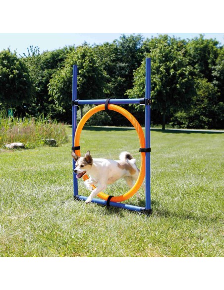 Aro para Agility azul/naranja