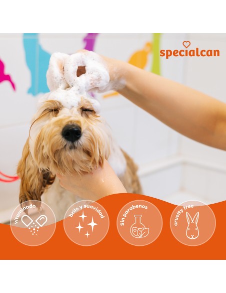 Champú Specialcan Cachorro