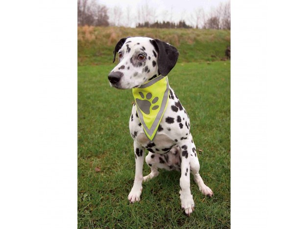 Pañuelo de Seguridad para perros S-M