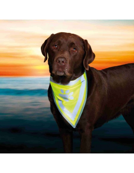 Pañuelo de Seguridad para perros S-M