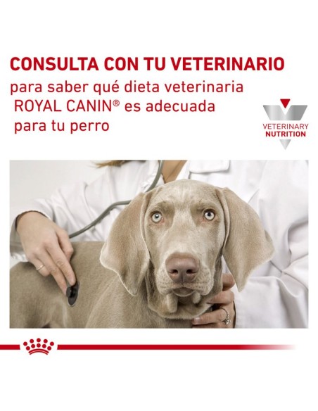 Royal Canin Veterinary Canine Sensitivity Control 12uds