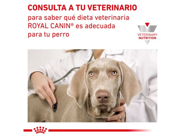 Royal Canin Veterinary Canine Diabetic Special...