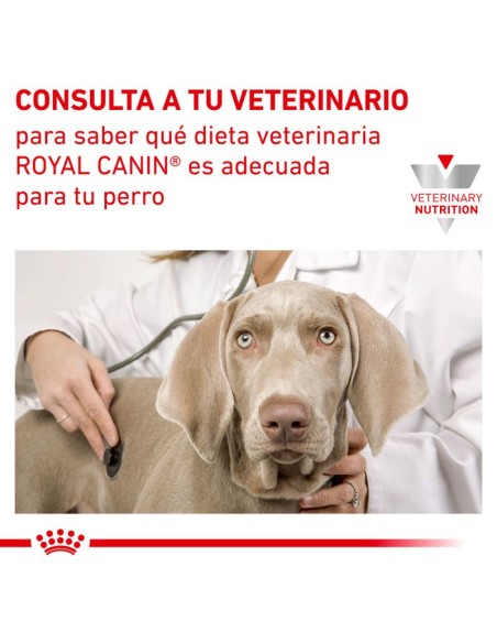 Royal Canin Veterinary Canine Diabetic Special Low Carb Mousse Pack 12uds