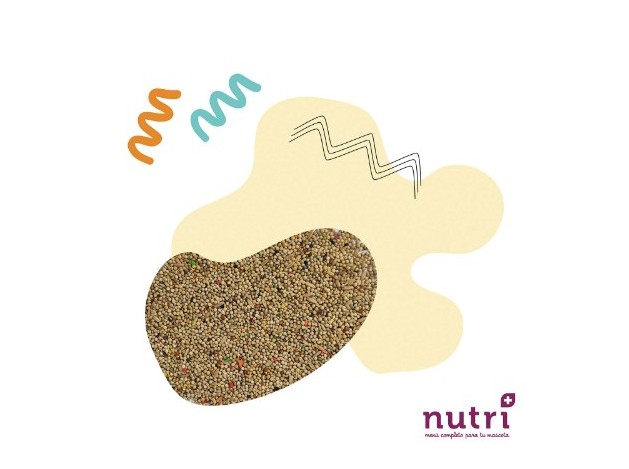 Nutri+ Aves Mixtura Periquito y Exóticos 900gr