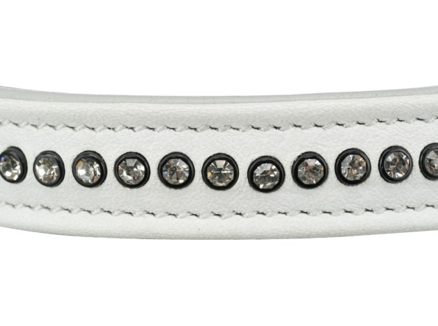 Oferta Collar piel para perros Active Comfort