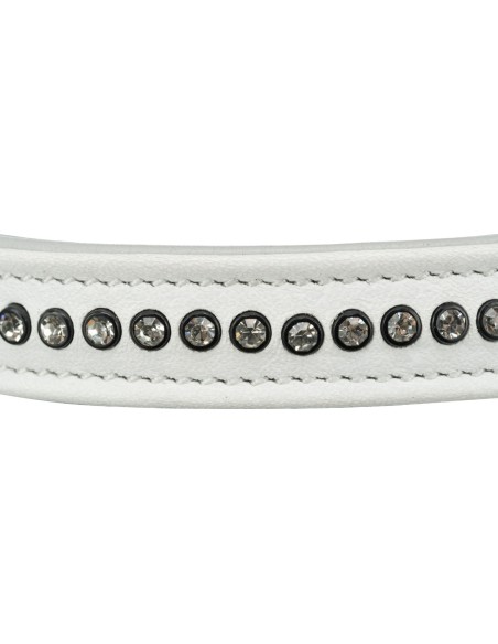 Oferta Collar piel para perros Active Comfort