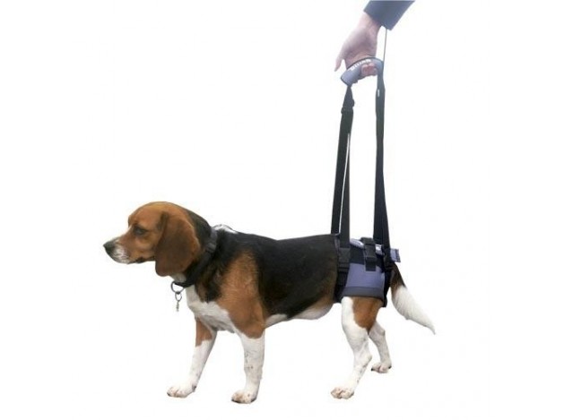 Transportador Manual Trasero