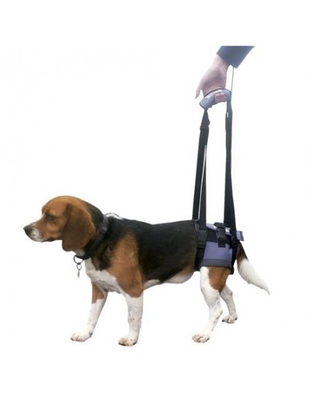 Transportador Manual Trasero