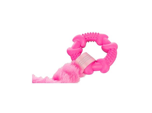 Cuerda Elástica para Tirar con el Anillo