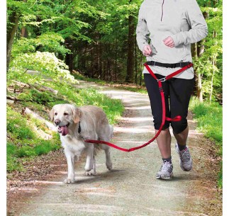 Cinturón con Correa, Canicross rojo 2