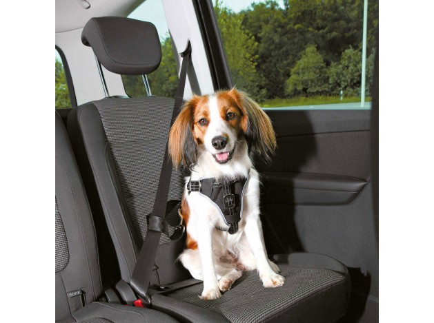 Arnés para Coche Dog Comfort