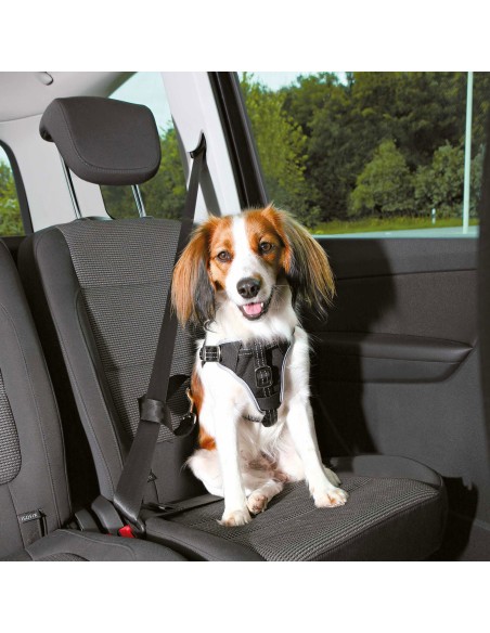 Arnés para Coche Dog Comfort