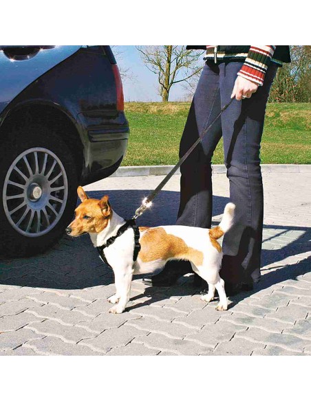 Arnés para Coche
