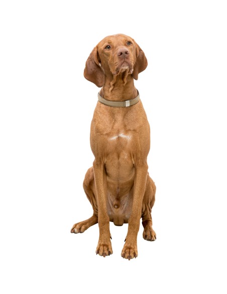 BE NORDIC Collar de Cuero