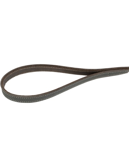Correa de Cuero Engrasado para Perros Rustic