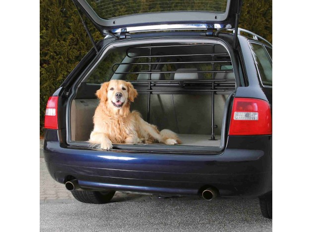 Barras Protectoras Coche negro