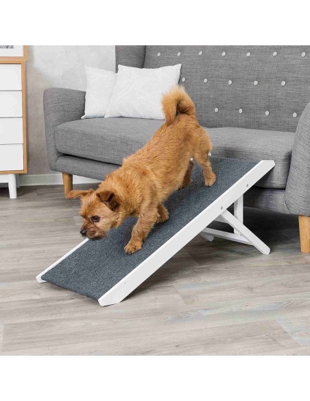Rampa blanco