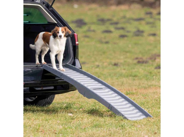 Rampa Plegable Petwalk, 3 veces gris