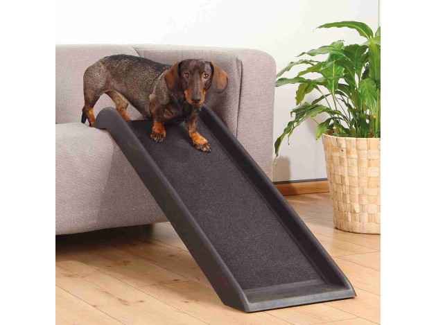 Rampa Petwalk negro