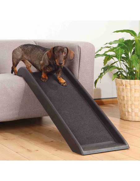 Rampa Petwalk negro
