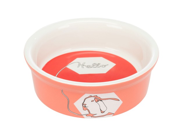 Comedero Cerámico - Pack de 4 unidades