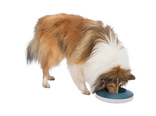 Slow Feeding Comedero Rocking Bowl gris/azul