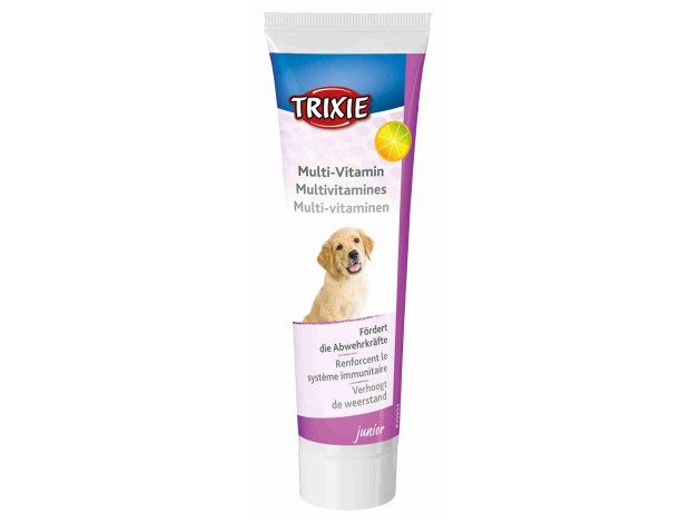 Multivitamínico - Pack de 3 unidades