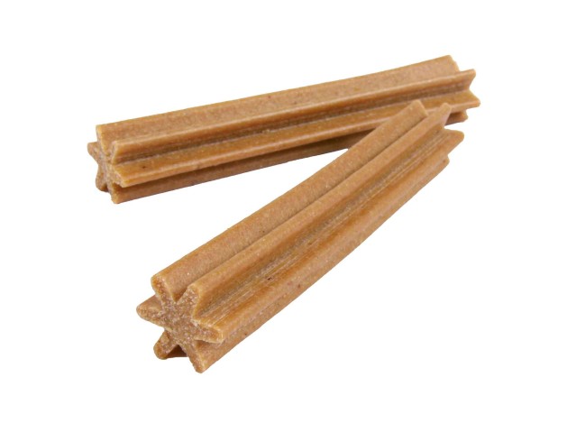 Dentros - Pack de 18 unidades