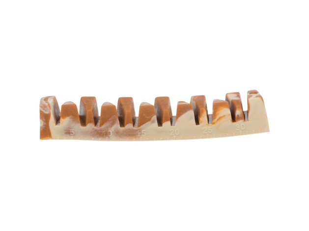 Denta Fun Veggie Jaw Bone - Pack de 100 unidades
