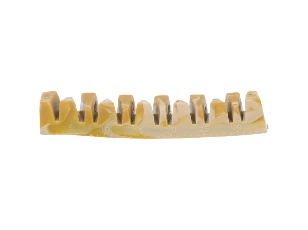 Denta Fun Veggie Jaw Bone - Pack de 100 unidades