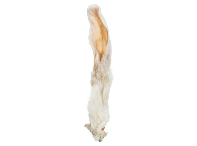 Orejas de conejo