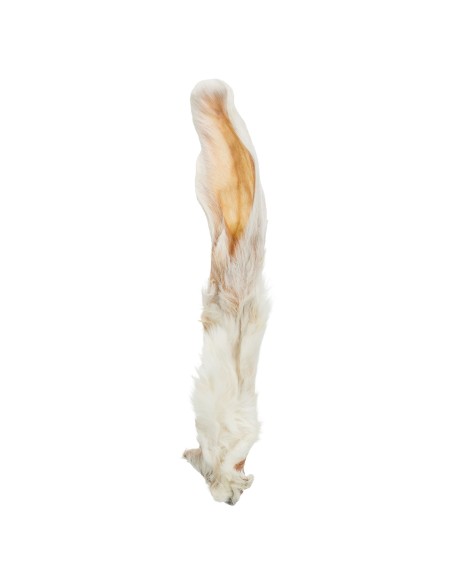 Orejas de conejo