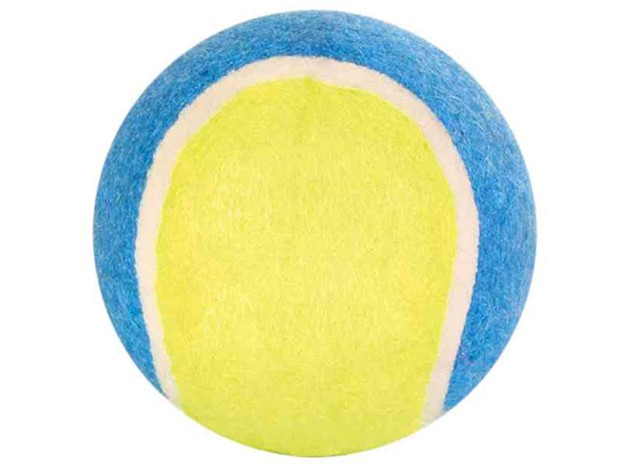 Surtido Pelotas de Tenis