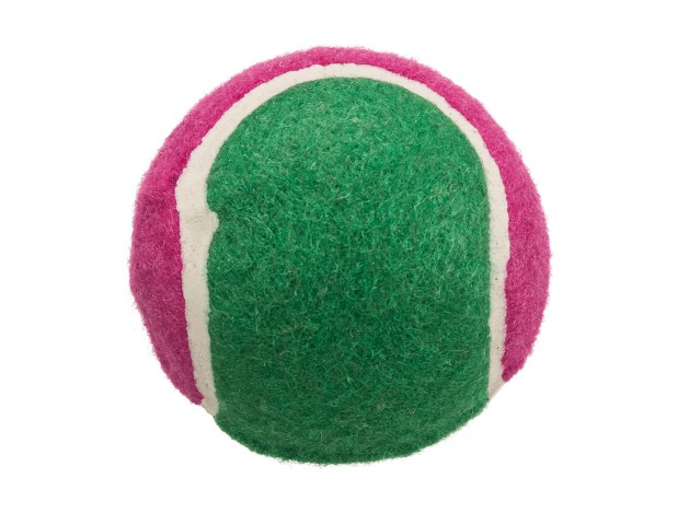 Surtido Pelotas de Tenis