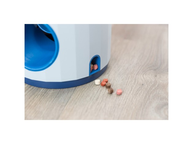 Dog Activity Swapper