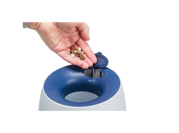 Dog Activity Swapper