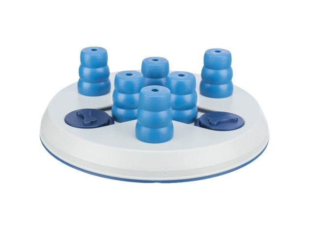 Dog Activity Slide & FunBoard