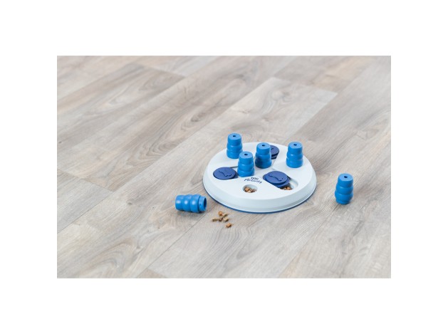 Dog Activity Slide & FunBoard