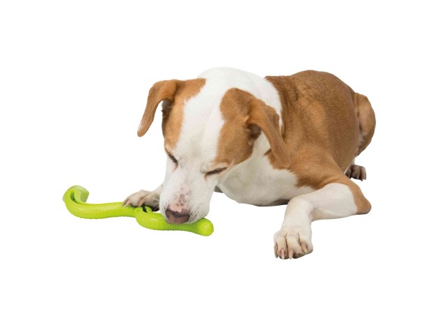 Serpiente Snacks - Pack de 3 unidades
