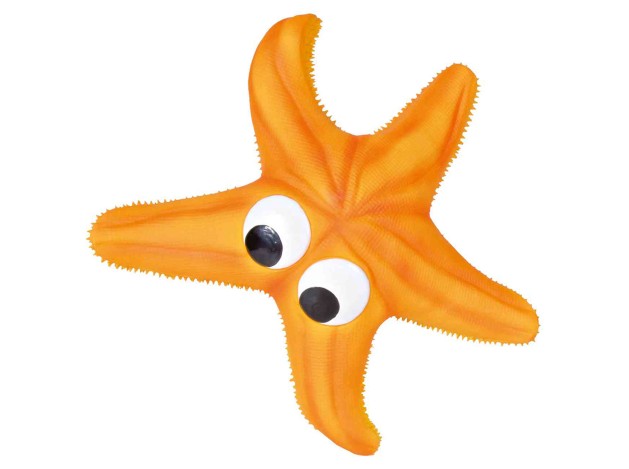 Estrella de Mar juguete para perros