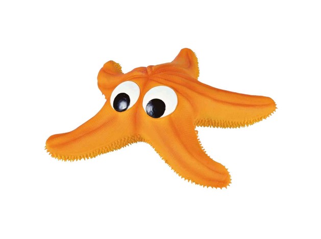 Estrella de Mar juguete para perros