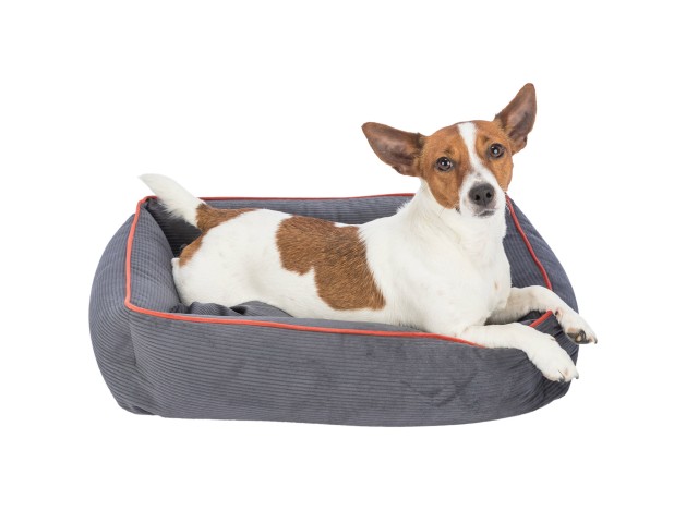 Trixie Cama Romy Gris