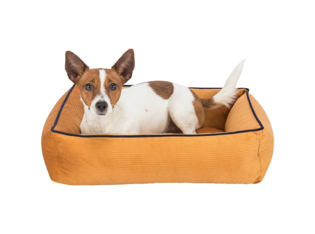 Trixie Cama Romy Ocre