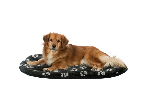 Cojín Jimmy Trixie para Perros