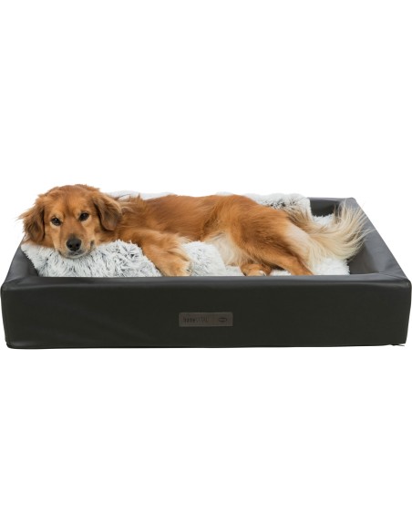 Cojín Rulo Harvey blanco-negro